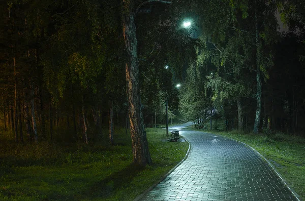 Buenas Noches Otoño Lluvia Sendero Pavimentado Atraviesa Parque Banco Linternas —  Fotos de Stock