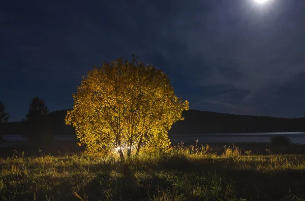 Rusia Siberia Oriental Región Baikal Principios Otoño Buenas Noches Luna — Foto de Stock