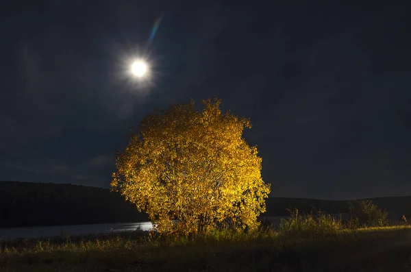 Rusia Siberia Oriental Región Baikal Principios Otoño Buenas Noches Luna — Foto de Stock