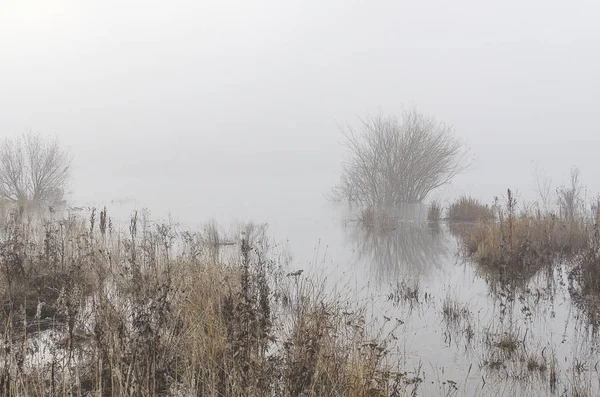 Eastern Siberia Baikal Region Late Autumn Morning Heavy Fog Coast 스톡 사진