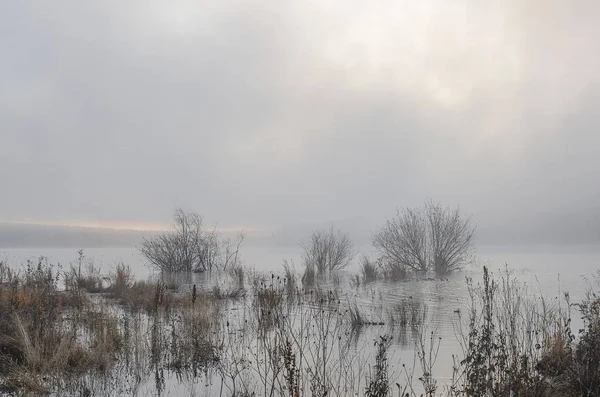 Eastern Siberia Baikal Region Late Autumn Morning Heavy Fog Coast — 스톡 사진