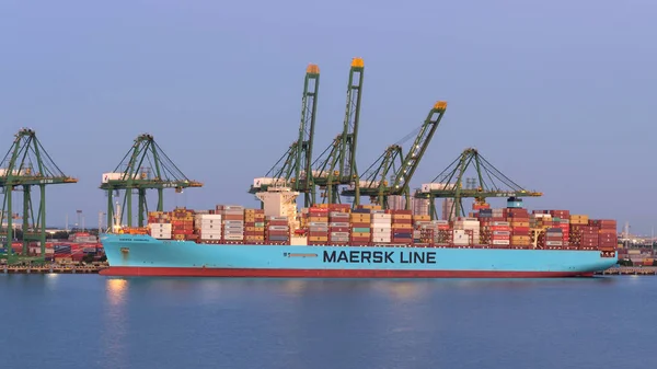 Tianjin China Augustus Containerschip Haven Van Tianjin Augustus 2019 Tianjin — Stockfoto