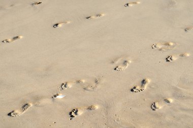Islak kumda taze ayak izleri.