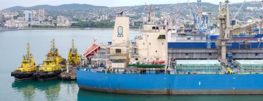 Novorossiysk, Rusya - 4 Ağustos - 4 Ağustos 2016 'da Novorossiysk, Rusya' da bulunan Novorossiysk limanında kargo gemileri ve römorkörlerin bir kısmı.