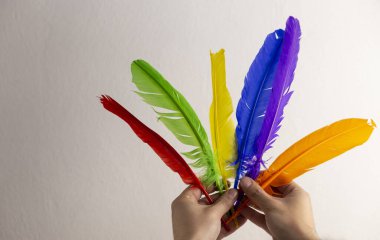Eşcinsel gururunun temsili, beyaz arka planda renkli tüyleri tutan eller, lgbt konsepti.