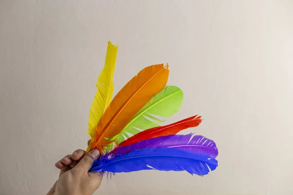 Eller gökkuşağı renkli tüyleri tutuyor, lezbiyen ve gay gururunu temsil ediyor.