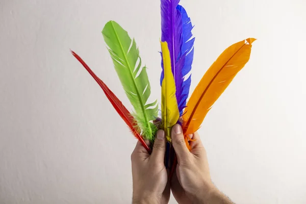 Hands holding colored feathers on a white background, concept of diversity