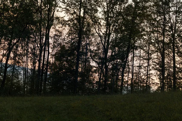Podzimní krajina s východ slunce - východ a západ slunce světlo na stromě — Stock fotografie