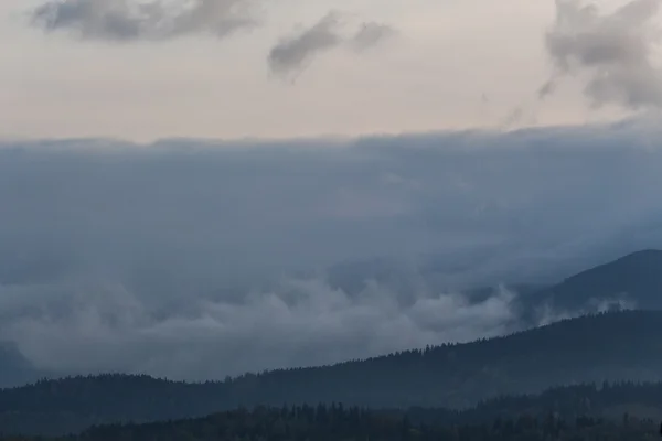 Summer weather phenomenon. Seasonal landscape with morning fog in valley. Clouds drenched valley below the level of the mountain