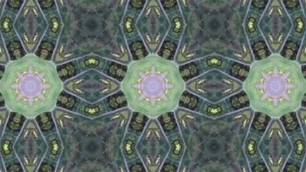 Mosaic fractale geometrische caleidoscopische — Stockvideo