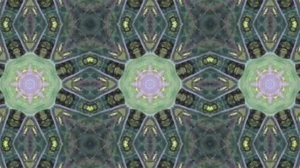 Mosaik fraktale geometrische Kaleidoskopie — Stockvideo