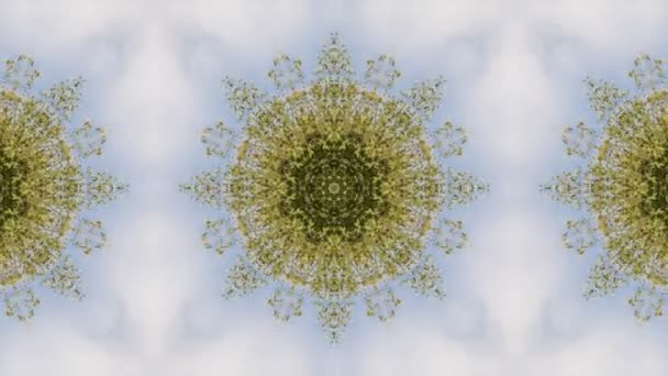 Mosaico frattale geometrico caleidoscopico — Video Stock