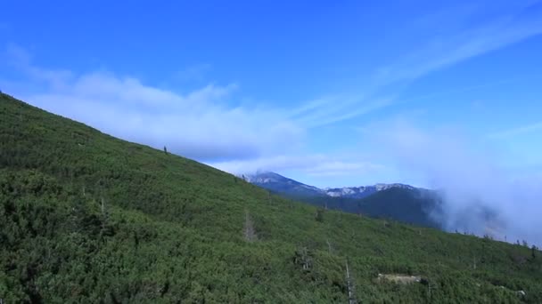 산에서 케이블카를 타고 — 비디오