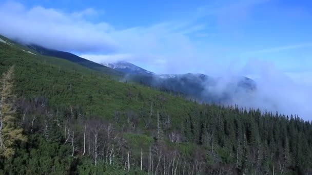 Jazda w dół na kolejki w górach — Wideo stockowe