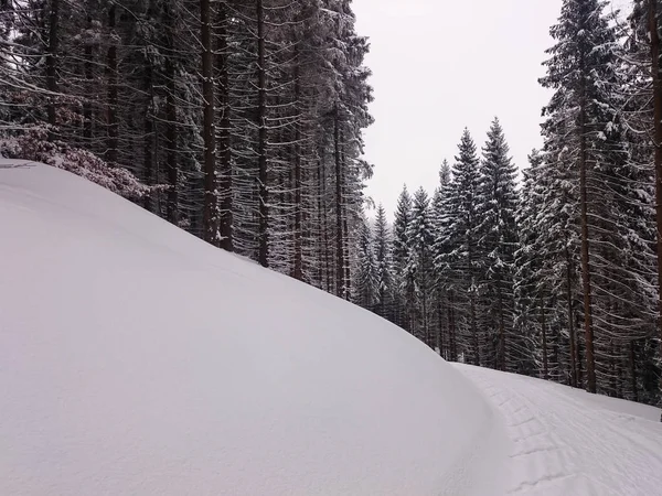 Dağlarda kış yolu — Stok fotoğraf