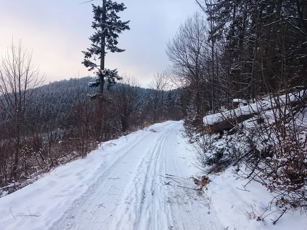 Χειμερινός δρόμος στα βουνά — Φωτογραφία Αρχείου