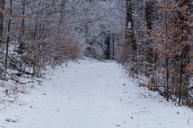 Dağlarda kış manzarası