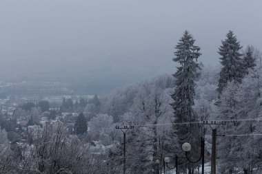 sisli kış manzarası 
