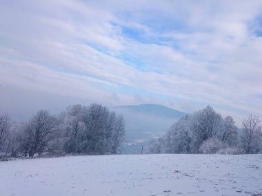 Kar çayır karlı manzara ağaçlarda ile