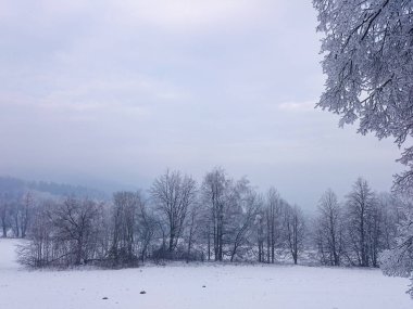 Ağaçların altında kış, kar