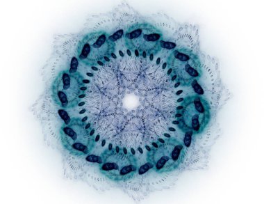 Uzay serisi geometrisini. Görsel olarak çekici zemin kavramsal Izgaralar eğrileri ve fraktal öğeleri öğesi olarak uygun yapılmış 