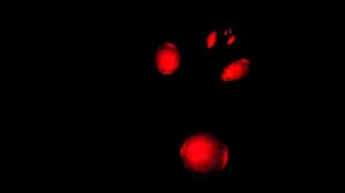 Bilim, teknoloji ve tasarım konularında fraktal radyal desen