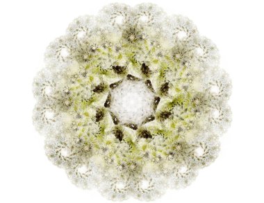 Konuyla ilgili soyut fraktal formlar grafik tasarım ve nükleer fizik bilim parçacıkların. Kutsal geometri futuristik