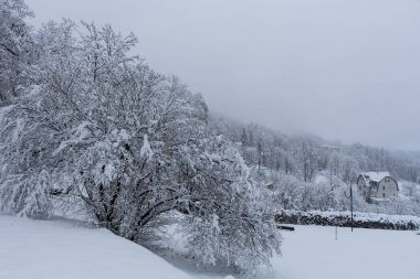 Ağaçların altında kış, kar