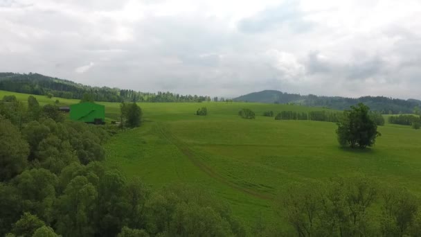 Flygfoto. Panorama. Flyg över en gräsbevuxen grön i bergen. — Stockvideo