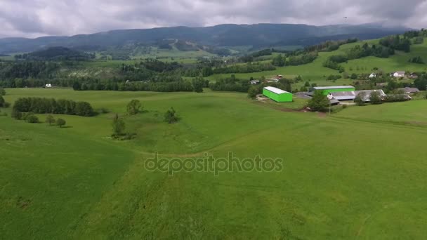 Vue Aérienne. Panorama. Vol au-dessus d'une herbe verte dans les montagnes . — Video