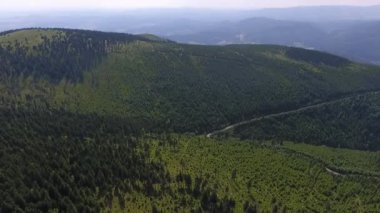 Havadan görünümü. Gün batımı. Bir yeşil çimenli tepe üzerinde uçuş.