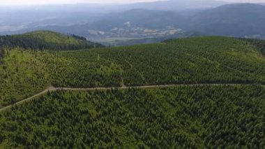 Havadan görünümü. Gün batımı. Bir yeşil çimenli tepe üzerinde uçuş.