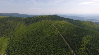 Havadan görünümü. Gün batımı. Bir yeşil çimenli tepe üzerinde uçuş.
