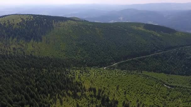 Havadan görünümü. Gün batımı. Bir yeşil çimenli tepe üzerinde uçuş. — Stok video