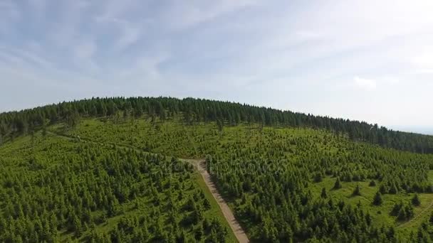 Aerial View. Panorama. Flight over a green grassy in mountains. — Stock Video