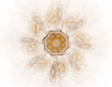 Uzay serisi geometrisini. Görsel olarak çekici zemin kavramsal Izgaralar eğrileri ve fraktal öğeleri öğesi olarak uygun yapılmış 