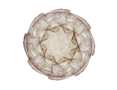 Konuyla ilgili soyut fraktal formlar grafik tasarım ve nükleer fizik bilim parçacıkların. Kutsal geometri futuristik