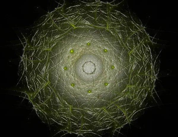 Uzay serisi geometrisini. C görsel olarak çekici zemin yaptı