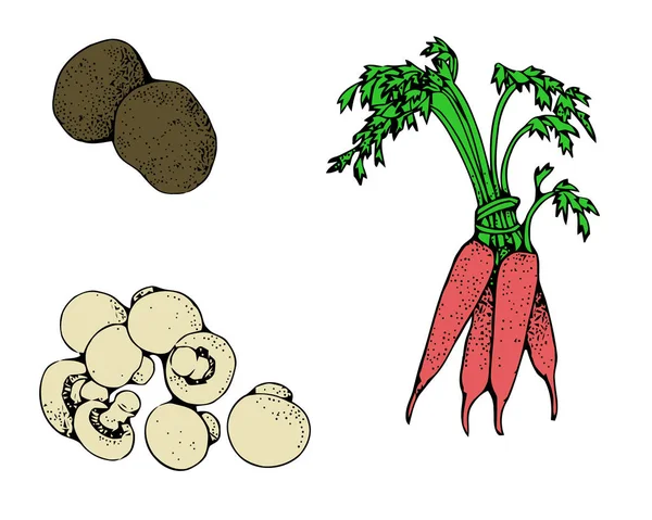 Farm fresh vegetables poster. Sketch style vector illustration. Vegetarian menu design template. — Stock Vector