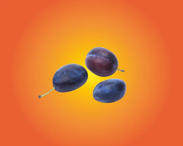 Quality realistic vector plum collection. Plums isolated on orange background. — Stock Vector