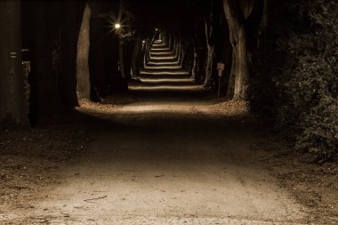 Şehir Parkı gece sahne ile dinlenmek için bir yer. Gece Şehir Parkı bahar manzara. Banklar, yollar ve ışıklar.