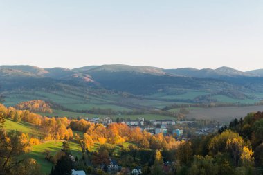 Parlak mavi gökyüzü ile genç yeşil ormanın yaz manzarası