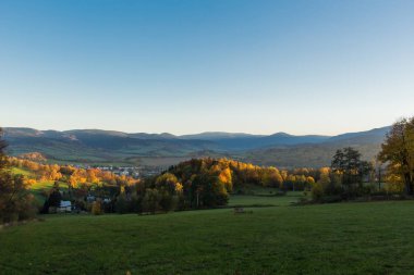 Parlak mavi gökyüzü ile genç yeşil ormanın yaz manzarası