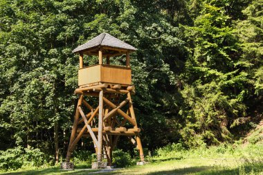 Kaan avcılar yeşil ormanın içinde için