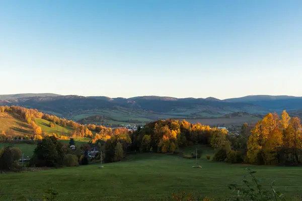 Letní krajina mladých zelených lesů — Stock fotografie