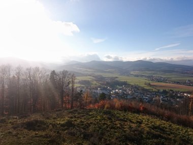Çayır ve orman bahar zamanı
