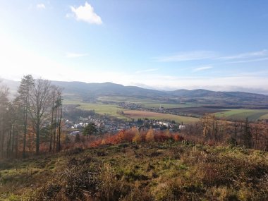 Çayır ve orman bahar zamanı