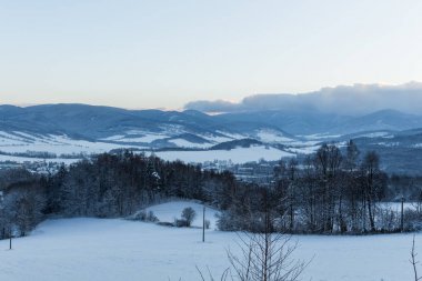 Bir kış Dağı'nda kar ile kaplı ağaçlar