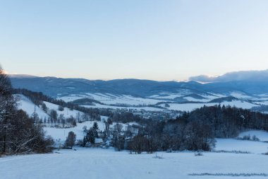 Bir kış Dağı'nda kar ile kaplı ağaçlar