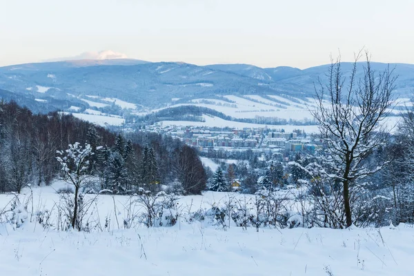 Árboles cubiertos de nieve en una montaña de invierno — Foto de Stock